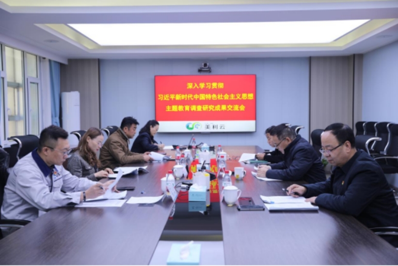 美利云黨委召開學(xué)習(xí)貫徹習(xí)近平新時(shí)代中國(guó)特色社會(huì)主義思想主題教育調(diào)研成果交流研討會(huì)